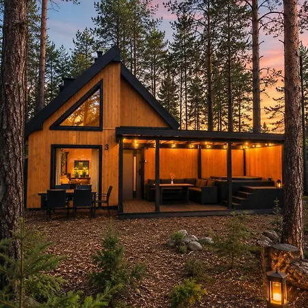 Lesne Z Basenem, Sauna I Balia Na Kaszubach Nad Jeziorem Wdzydzkim ボルスク