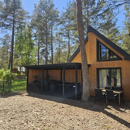 Lesne Z Basenem, Sauna I Balia Na Kaszubach Nad Jeziorem Wdzydzkim * ボルスク