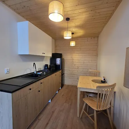 Lesne Z Basenem, Sauna I Balia Na Kaszubach Nad Jeziorem Wdzydzkim 度假居 博尔斯克